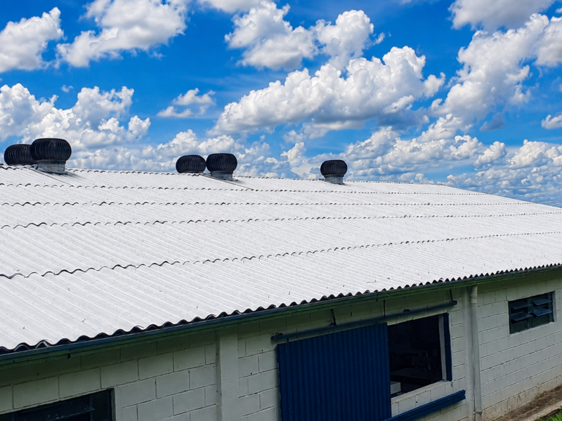 Como Instalar Telha Ecológica: passo a passo e cuidados essenciais